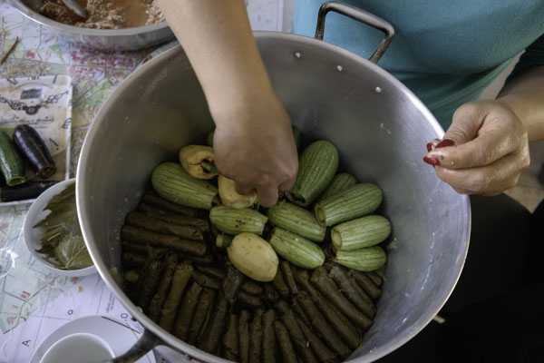 Gevulde druivenbladeren - dolma